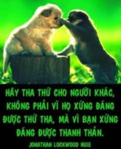 Chuyen Tha Thu