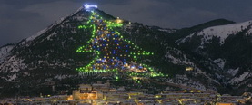 Biggest-Christmas-tree-lights_resize