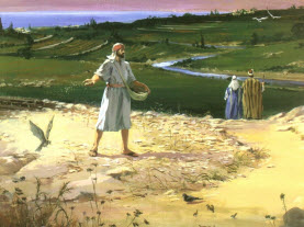 sower parable