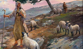 60 - Good Shepherd 28