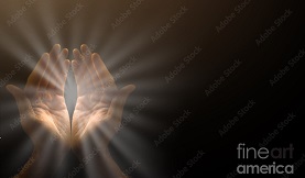ABUNDANCE (1)